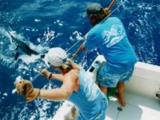 Camelot Sportfishing Camelot Sportfishing